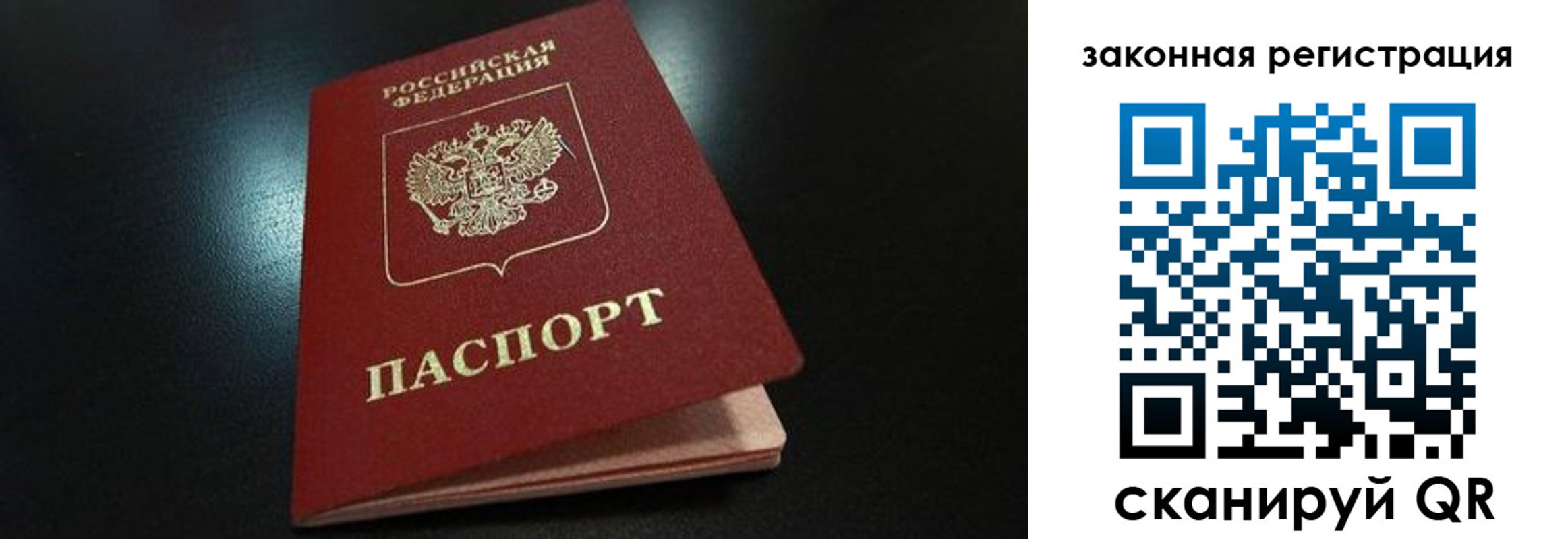 прописка 2025 в Щёкино